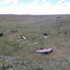 Old car / tractor parts along the NCT provide a glimpse of the area's homesteading history