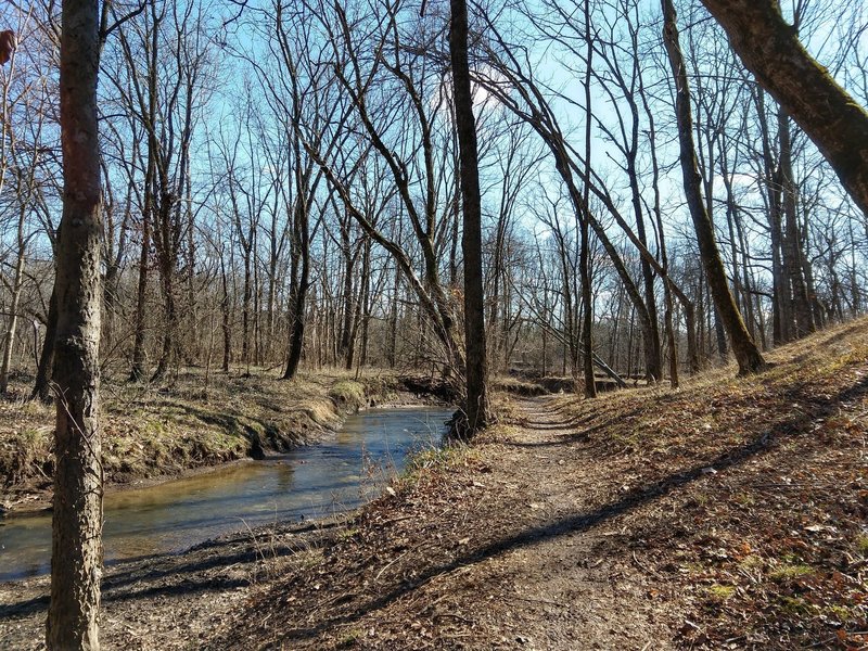 Veteran's Park trail, creekside.