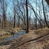 Veteran's Park trail, creekside.