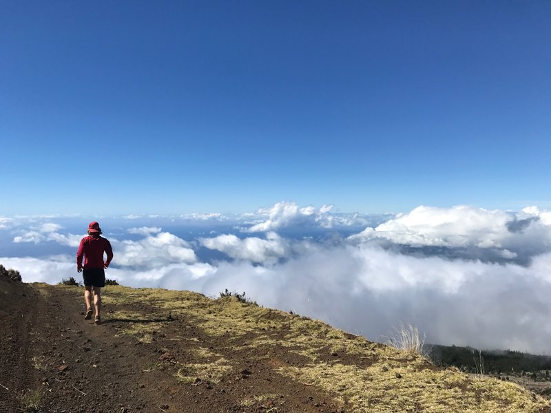 Way above the clouds on the Skyline Trail