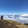 Way above the clouds on the Skyline Trail