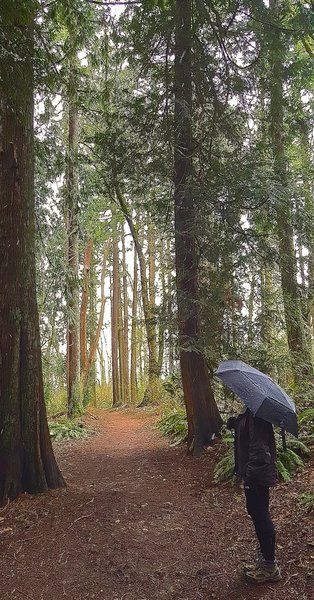 At the top of the South Ridge Trail.