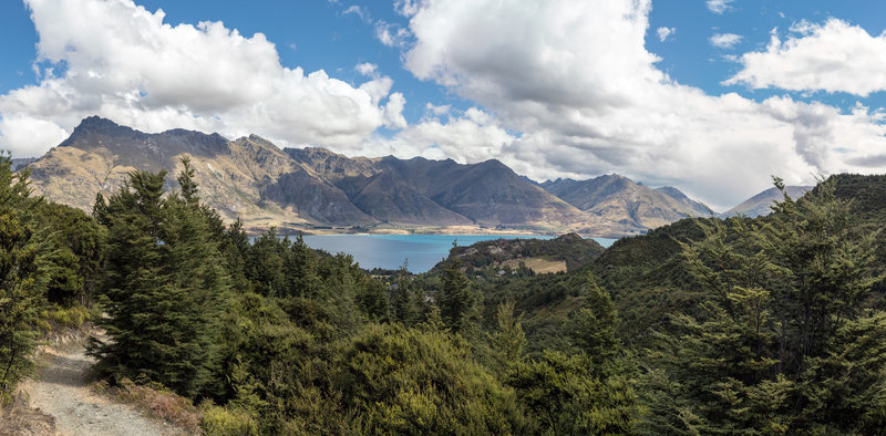 Lake Wakatipu from Mount Crichton Loop Track