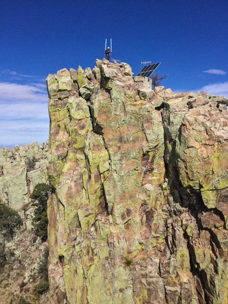 on Emory Peak