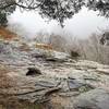 Owl Bluff (on a foggy day)