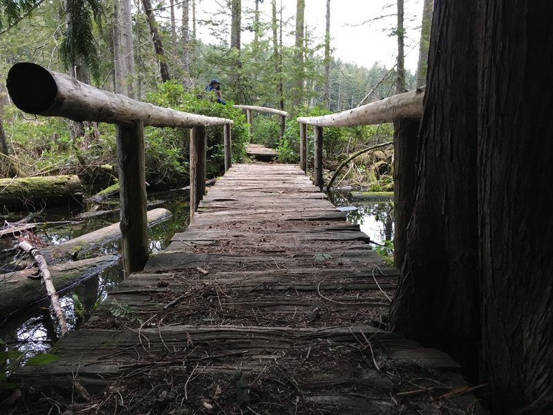 The bridge to the viewpoint.