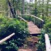 The bridge and viewpoint.