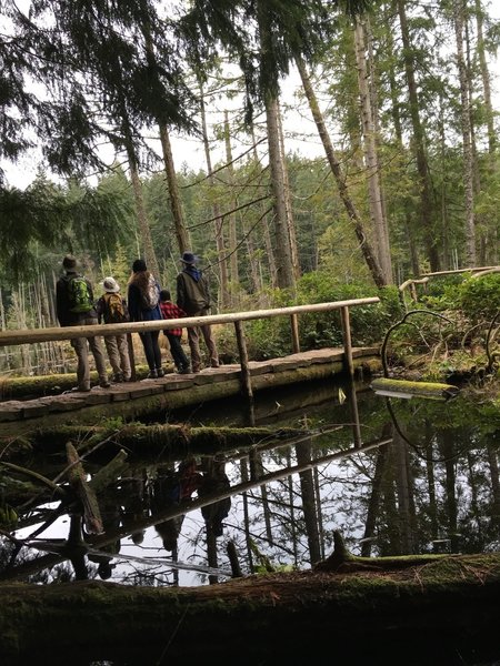 Hikers on the bridge.