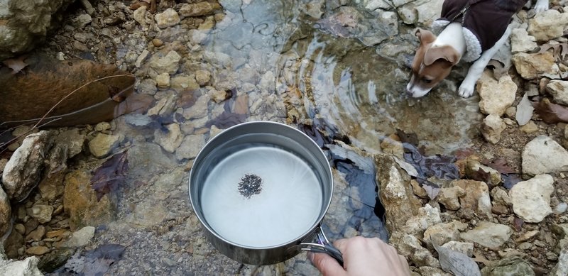 Clear stream leading into the Lake. The only 'quick' running clear water I found between West Juniper Point and Eagle Roost. Collected for boiling. A little steep to get to, use caution. @SynSurvival