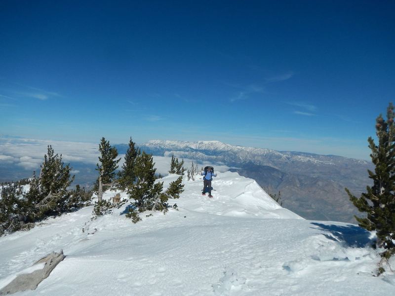 Almost to the top of San Jacinto - January 2017