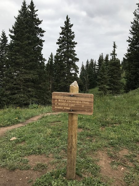 Intersection of Burro Pass, Whole Enchilada, and Manns Peak