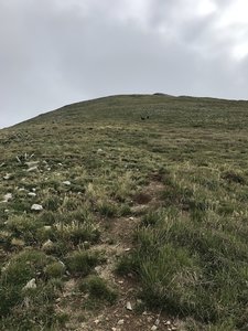 View of the climb to the top of Mann's Peak. Note the dog and the woman way up ahead.