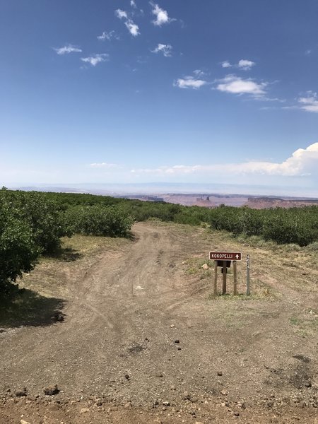 Castle Valley off in the distance.