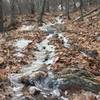 Trail follows a water runoff which is icy in the winter and wet in the spring.