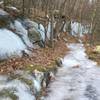 Icy trail with nice views