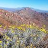 View of  Franklin Mountains from the trail