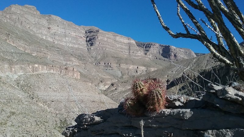 View of Dog Canyon.