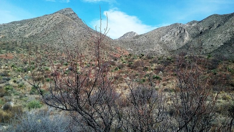 View from parking lot before walking up the trail