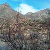 View from parking lot before walking up the trail