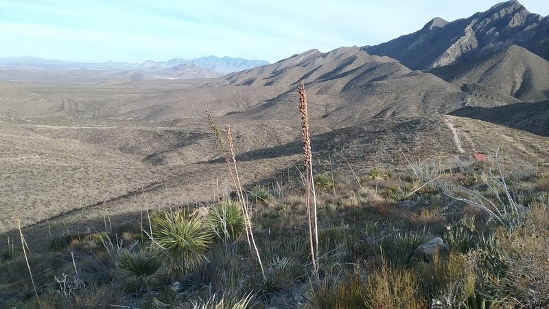 Looking North on the trail.