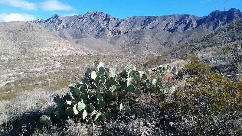 Looking east from the trail