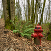 A fire hydrant by the side of the trail - a fun little reminder that this beautiful park is in an urban setting.