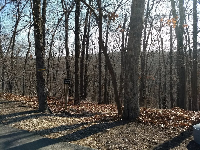 Trailhead, across from animal hospital