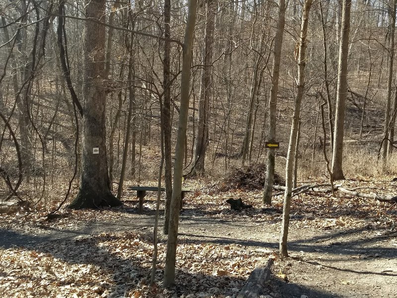 Trail signs and bench at the bottom of the hill in the valley