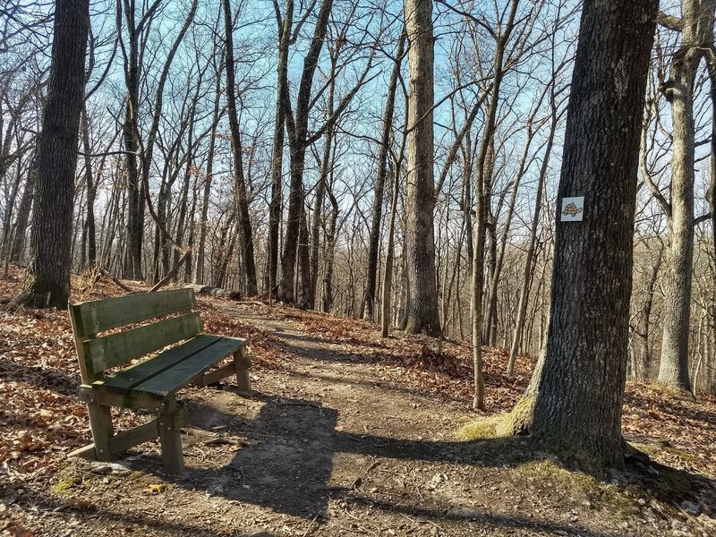 Bench at the top of the hill. You'll have to come sit here to see the view.