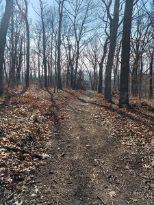 At the top, headed west towards Lone Elk Park Rd