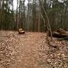 Environmental Loop Trail at Kennesaw Mountain. Easy short hike for families with benches along the way for resting.