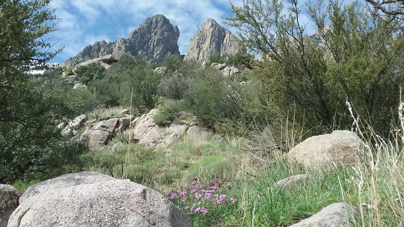 View of the Organ Mountains from Baylor Pass Trail