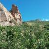 La Cueva Trail during the summer. Many wildflowers