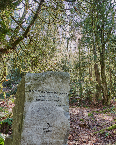 Red Town Loop is full of interesting little trailside things, such as this quote from Henry Ford.