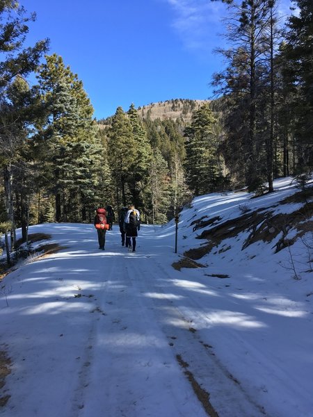 On the long, long section of Forest Service road, covered in ice and snow