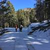 On the long, long section of Forest Service road, covered in ice and snow