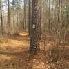 The trail has clear blazing and generally offers wide singletrack.