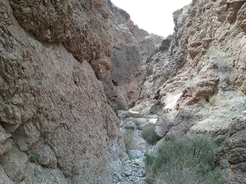 View of bottom of Deep Canyon. This canyon can be reached just a little ways off Vertigo Ridge Trail.