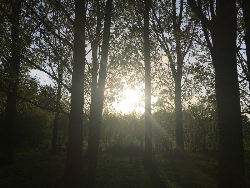 Summers evening in Suffolk