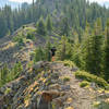 Runners on the Grand Mesa Ultras Course traversing Crag Crest