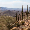 view from Sunrise Trail