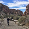 hiking Blue Creek Trail