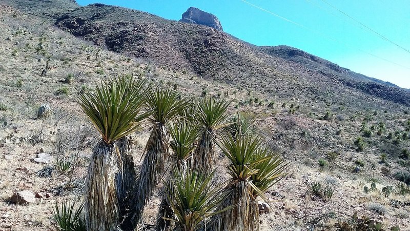 View of Mammoth Rock from the trail