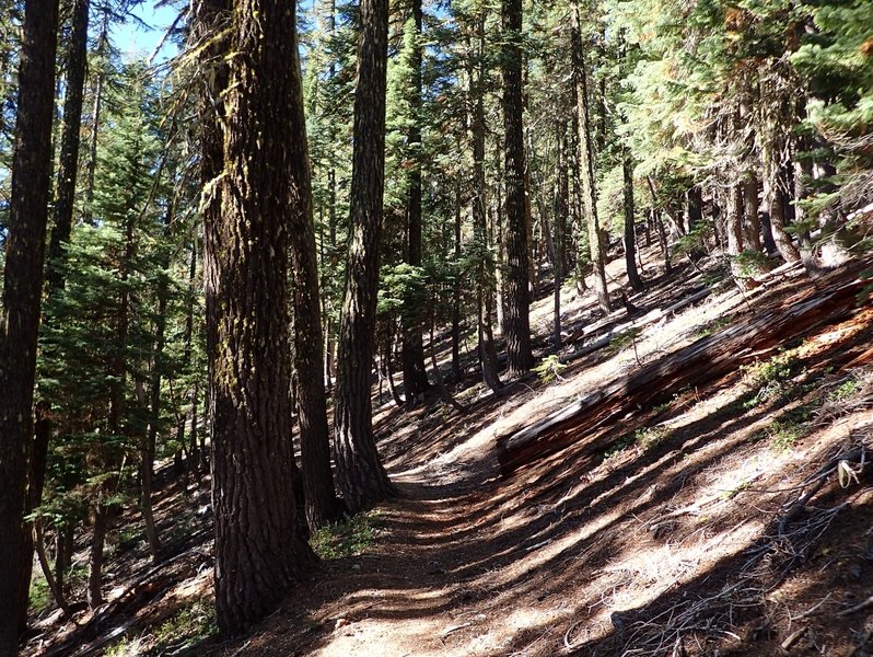 The Maidu Lake Trail climbs toward the Pacific Crest Trail