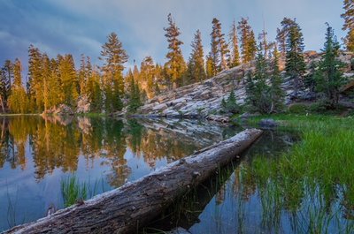 Crystal Lines by Darren Marshall