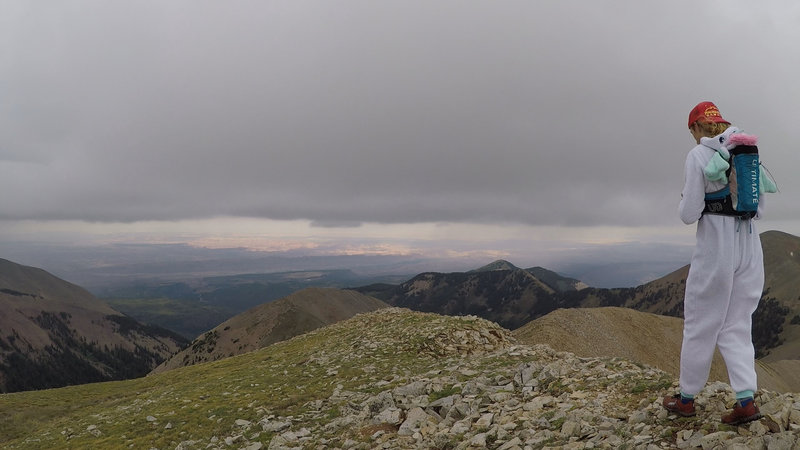 Looking west from the top of Manns Peak.