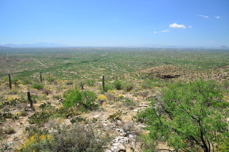 Babad Do'ag Viewpoint.