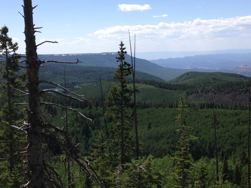 View of West Bench