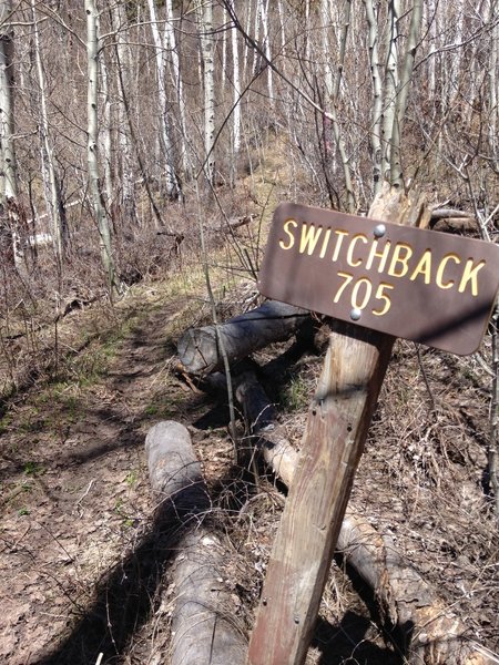 Heading up Switchback Trail #705