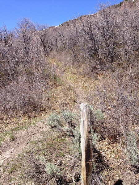 Old Switchback trail post from Coal Creek Basin Trail intersection